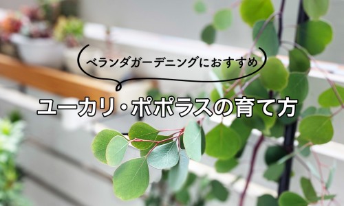 脂肪量多少是正常-权威脂肪量是什么意思平台,分享专业脂肪量偏高怎么减知识_脂肪量网